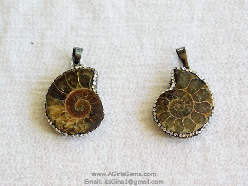 CZ Micro Pave Seashell Pendant, Black CZ Pave Beach Cubic Zirconia Snail Shape #254, Ammonite Fossil Charms