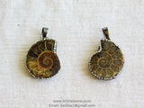 CZ Micro Pave Seashell Pendant, Black CZ Pave Beach Cubic Zirconia Snail Shape #254, Ammonite Fossil Charms