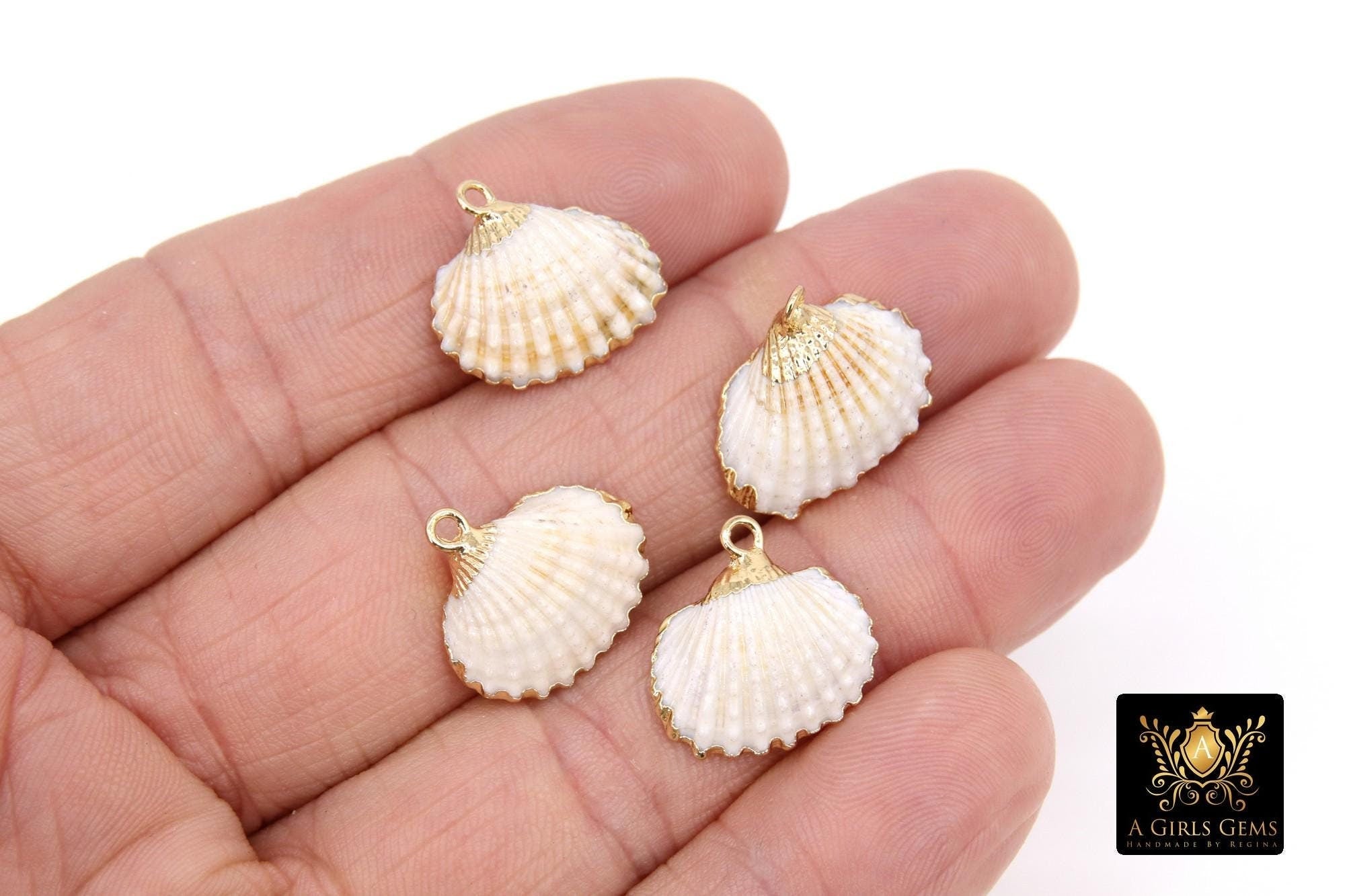 Genuine White Small Scallop Round Seashell Charms, Gold Edge White Flat Shells