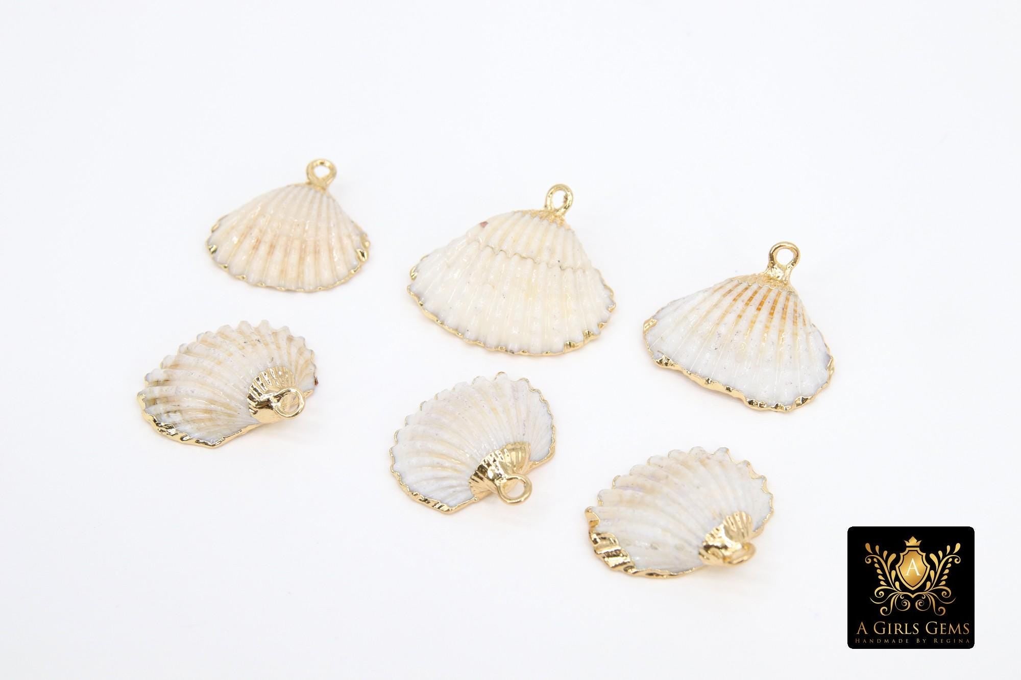 Small White Scallop Seashell Charms, 15 mm Gold Edged Beach Shells #678, Genuine Shell