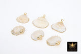 Small White Scallop Seashell Charms, 15 mm Gold Edged Beach Shells #678, Genuine Shell