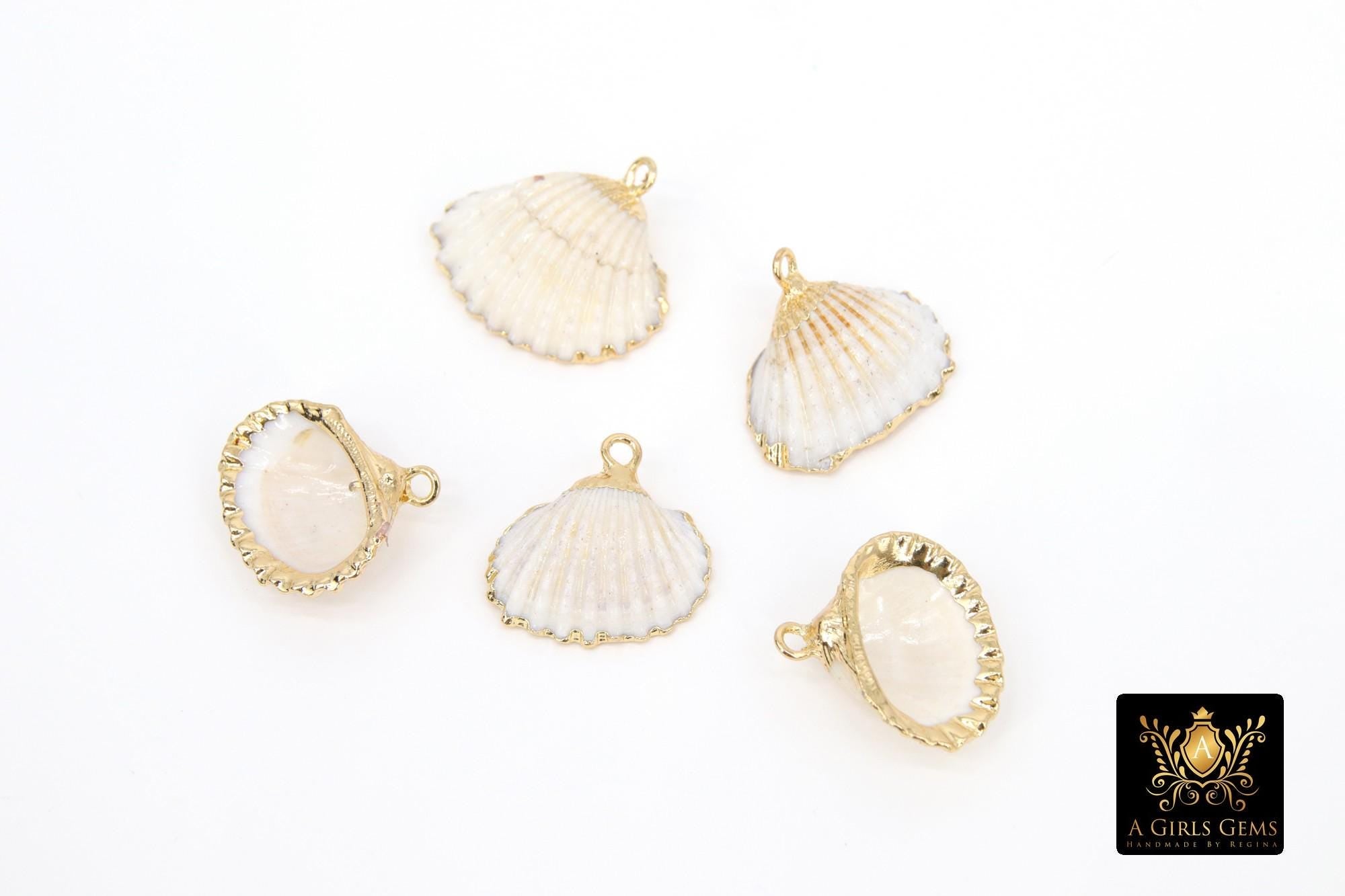 Small White Scallop Seashell Charms, 15 mm Gold Edged Beach Shells #678, Genuine Shell
