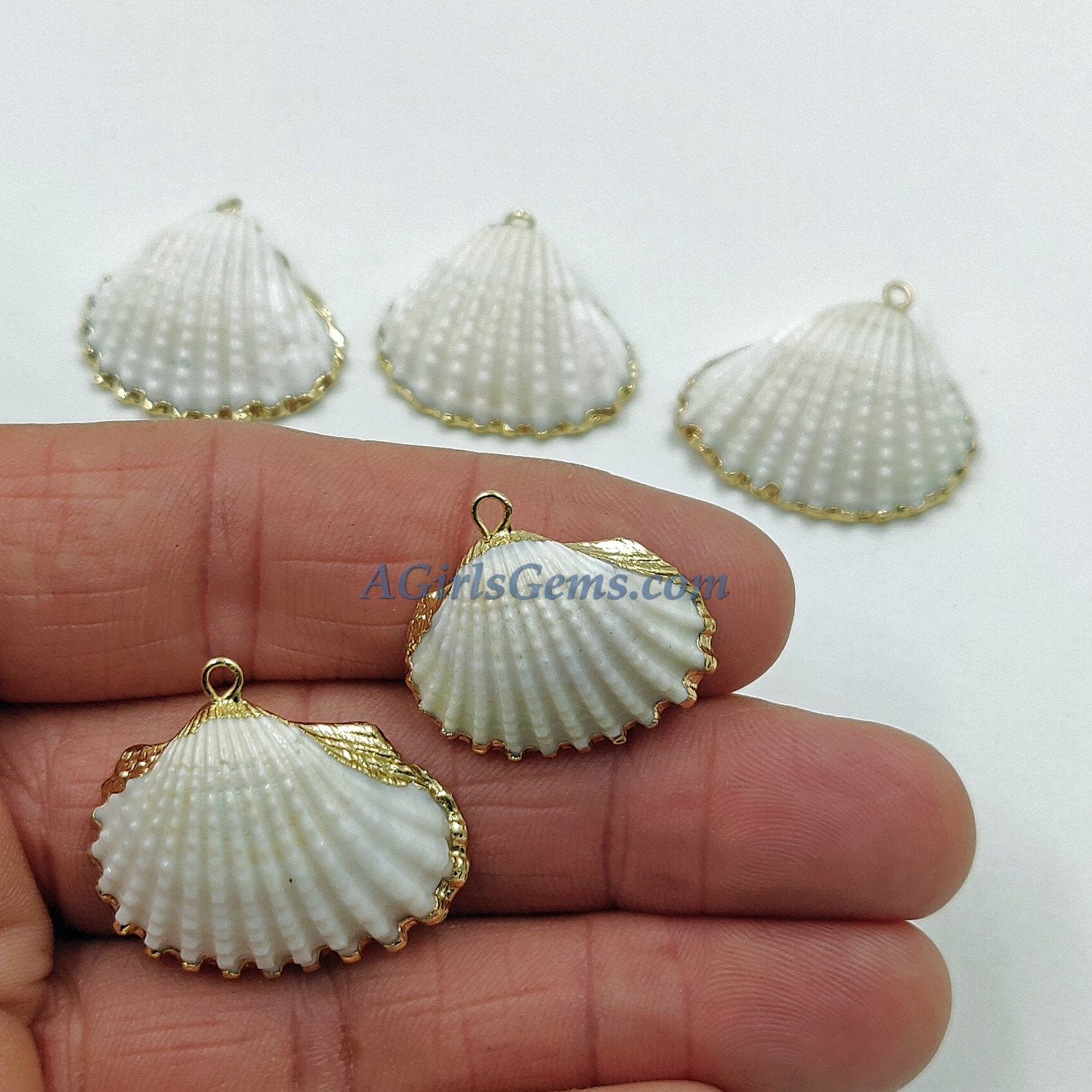 Small White Scallop Seashell - A Girls Gems