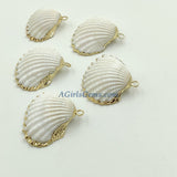 Small White Scallop Seashell - A Girls Gems