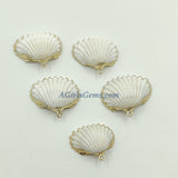 Small White Scallop Seashell - A Girls Gems