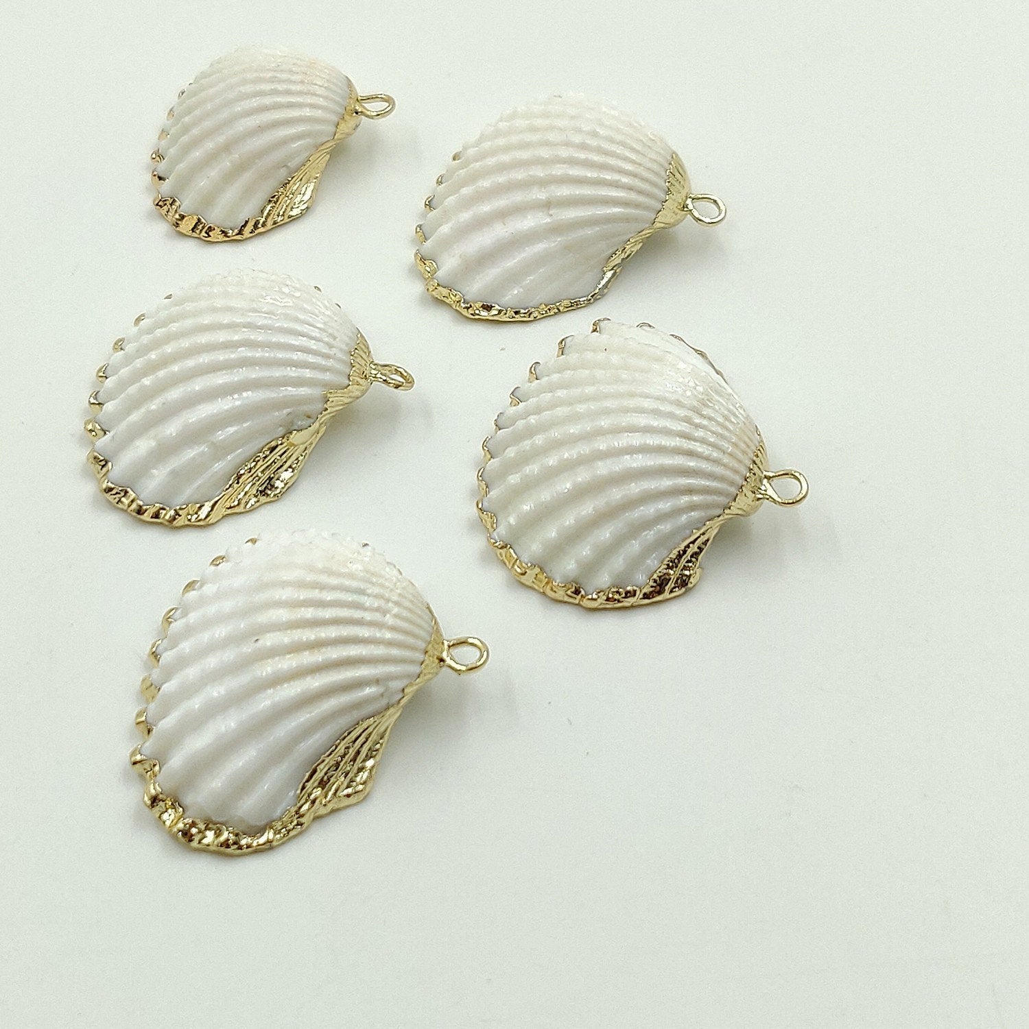 Small White Scallop Seashell - A Girls Gems
