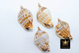 Seashell Charms, Gold Dipped Edge Nautical Shells