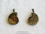 CZ Micro Pave Seashell Pendant, Black CZ Pave Beach Cubic Zirconia Snail Shape #661, Ammonite Fossil Charms