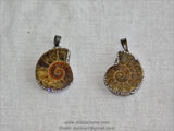 CZ Micro Pave Seashell Pendant, Black CZ Pave Beach Cubic Zirconia Snail Shape #254, Ammonite Fossil Charms