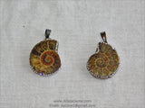 CZ Micro Pave Seashell Pendant, Black CZ Pave Beach Cubic Zirconia Snail Shape #254, Ammonite Fossil Charms