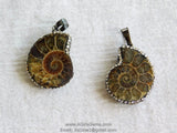 CZ Micro Pave Seashell Pendant, Black CZ Pave Beach Cubic Zirconia Snail Shape #661, Ammonite Fossil Charms