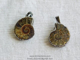 CZ Micro Pave Seashell Pendant, Black CZ Pave Beach Cubic Zirconia Snail Shape #661, Ammonite Fossil Charms