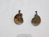 CZ Micro Pave Seashell Pendant, Black CZ Pave Beach Cubic Zirconia Snail Shape #661, Ammonite Fossil Charms