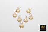14 K Gold Filled Tiny Scallop Shell Charm, 14 20 Gold Small Seashell # 2134, 8 x 9 mm Beach charms