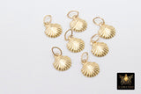 14 K Gold Filled Tiny Scallop Shell Charm, 14 20 Gold Small Seashell # 2134, 8 x 9 mm Beach charms