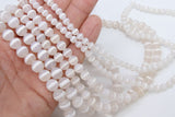 DZI White Stripe Beads, Natural Tibetian Smooth Round Band Beads BS #35, sizes 6 mm 8 mm or 10 mm 15 inch Strands