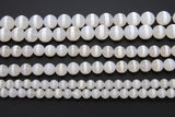 DZI White Stripe Beads, Natural Tibetian Smooth Round Band Beads BS #35, sizes 6 mm 8 mm or 10 mm 15 inch Strands