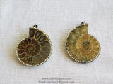 CZ Micro Pave Seashell Pendant, Black CZ Pave Beach Cubic Zirconia Snail Shape #254, Ammonite Fossil Charms