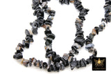 Natural Black Onyx Beads, Shiny Chips and Nugget Black Beads BS #148, sizes 5-8 mm