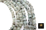 Natural Baby Blue Kiwi Beads, Shiney Sesame Round Aqua Blue BS #134, Black Spot Lotus Jasper Beads