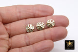 14 K Gold Filled Sand Dollar Charms, 12 mm Small Beach Necklace # 745, Genuine 14 20 Ocean Dangle
