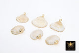 Small White Scallop Seashell Charms, 15 mm Gold Edged Beach Shells #678, Genuine Shell