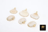 Small White Scallop Seashell Charms, 15 mm Gold Edged Beach Shells #678, Genuine Shell