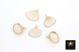 Small White Scallop Seashell Charms, 15 mm Gold Edged Beach Shells #678, Genuine Shell