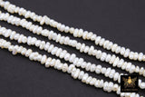 Genuine White Pearl Rondelle Bead Strands, 4 mm White Baroque Pearl Beads, Freshwater Pearl, 14 Inch Button Flat Bead Strand