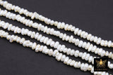 Genuine White Pearl Rondelle Bead Strands, 4 x 2.5 mm White Freshwater Pearl Beads BS #353, 5 mm Freshwater Pearl