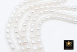 White Baroque Pearl Bead Strands, 13 mm Baroque Pearl Beads BS # 1295, High Quality Genuine Oval Freshwater Pearl