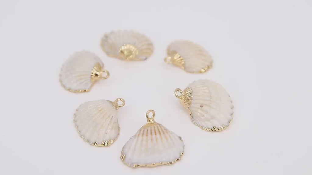 Small White Scallop Seashell Charms, 15 mm Gold Edged Beach Shells #678, Genuine Shell