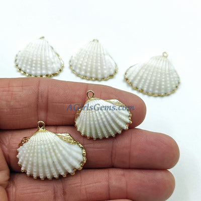 Small White Scallop Seashell - A Girls Gems