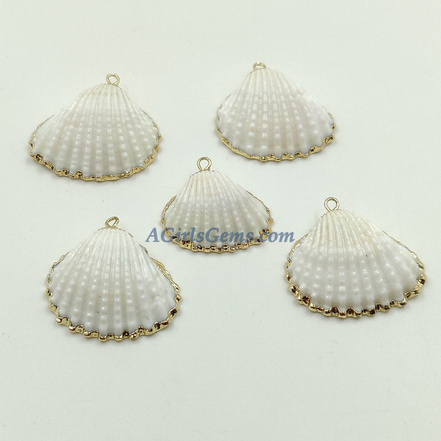 Small White Scallop Seashell - A Girls Gems