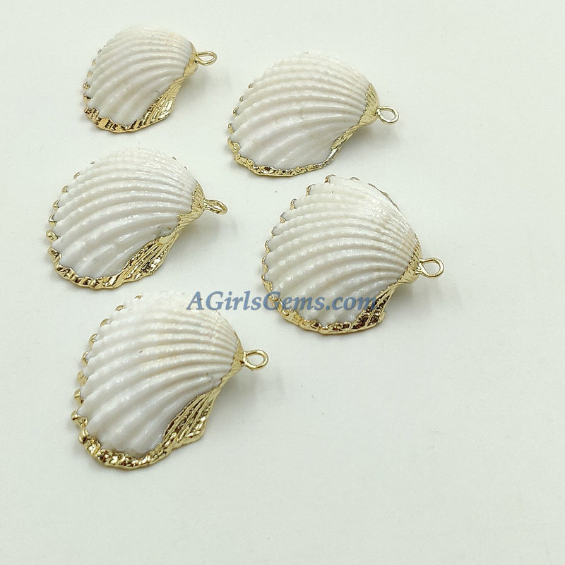 Small White Scallop Seashell - A Girls Gems