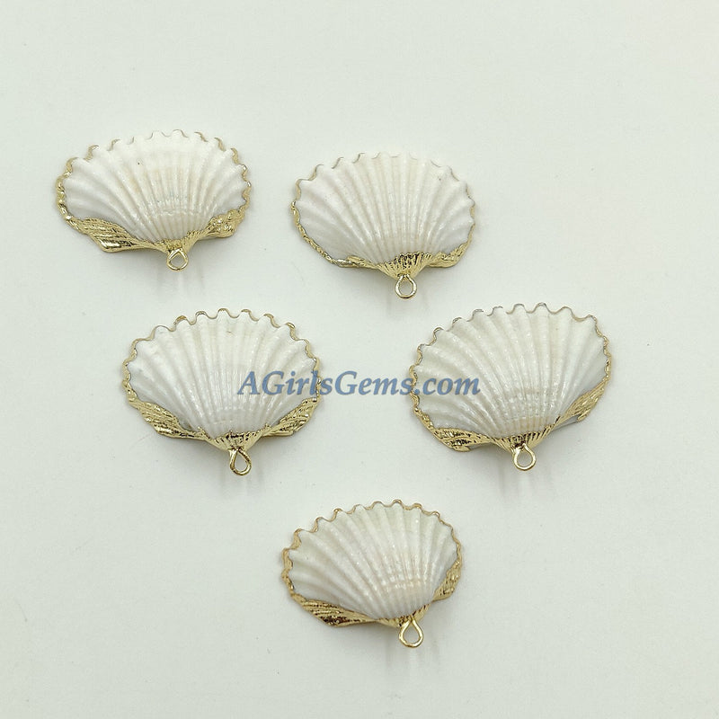 Small White Scallop Seashell - A Girls Gems
