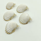 Small White Scallop Seashell - A Girls Gems