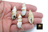 Gold Dipped Edge Conch Seashell Charms, Long Spiral Ocean Reef Jewelry for Boho Beach Necklace
