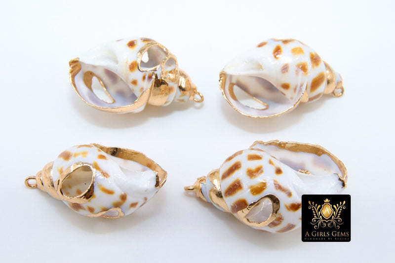 Gold Edge Conch Seashell Charm, Gold Dipped Babylon Shell 