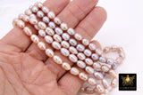 Beige Pink Freshwater Pearl Rice Baroque Bead Strands
