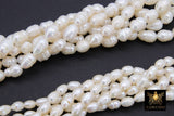 Genuine Pearl Bead Strands, 6 mm 12 mm White Baroque Pearl Beads CH#, Oval Freshwater Rice Pearl, 14 Inch Bead Strand